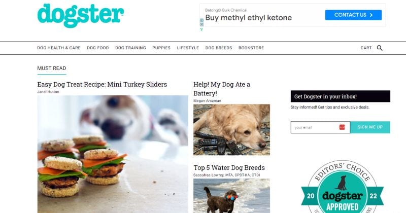 Designing Your Pet Blog for User Experience and SEO