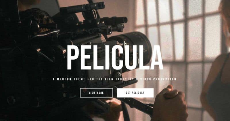 Pelicula WordPress movie theme.
