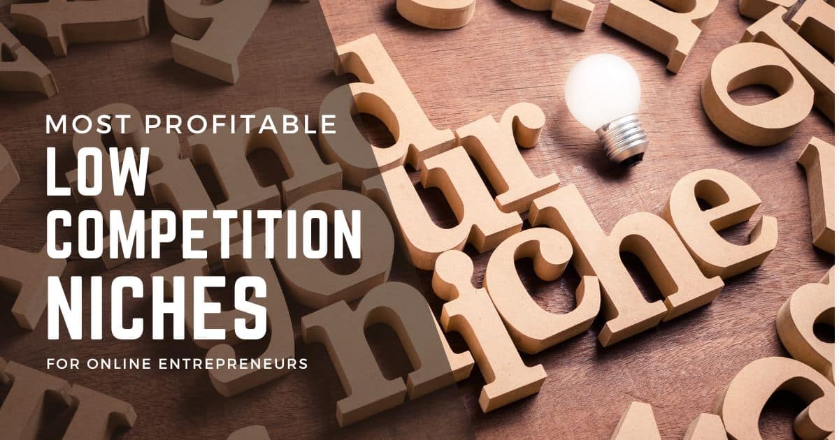 Most profitable low competition niches