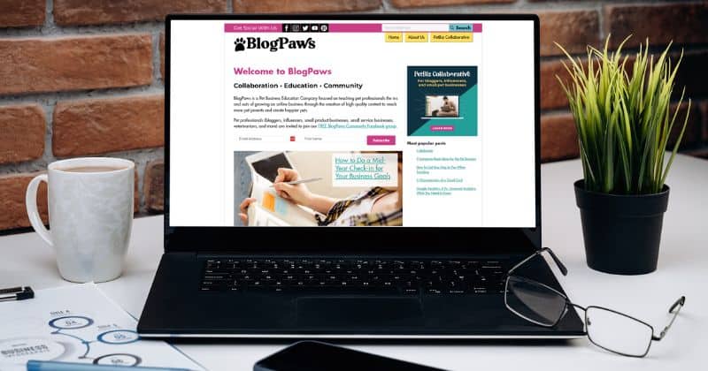 pet blogging step by step guide
